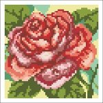 (image for) Rose